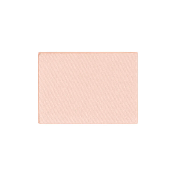 ブラッシュ　Ｎ（レフィル）